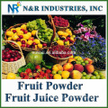 Suministro de polvo de frutas o jugo de frutas en polvo 100% pura y natural de vapor esterilización